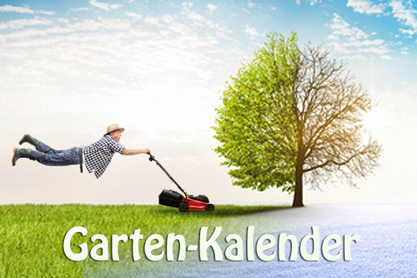 img gartenkalender